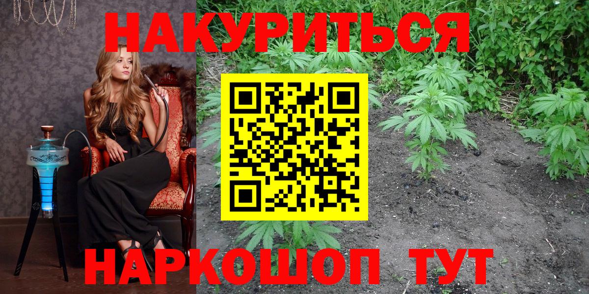Бошки марихуана сатива Когалым